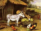 Chickens and Donkeys feeding outside a Barn by Edgar Hunt